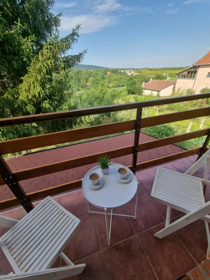 Hoopovo House Fruska Gora Villa Irig Exterior photo