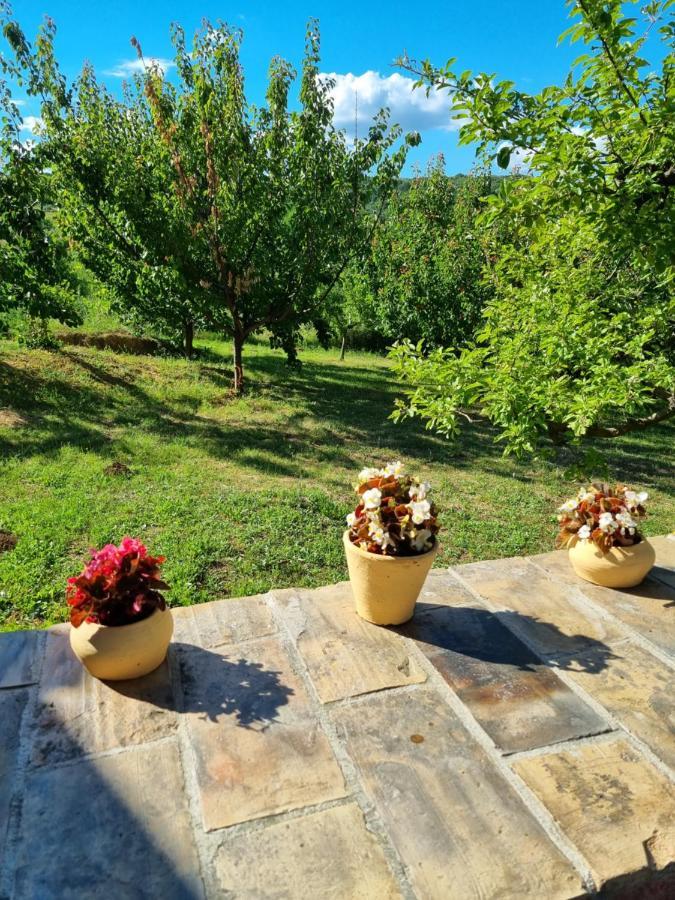 Hoopovo House Fruska Gora Villa Irig Exterior photo