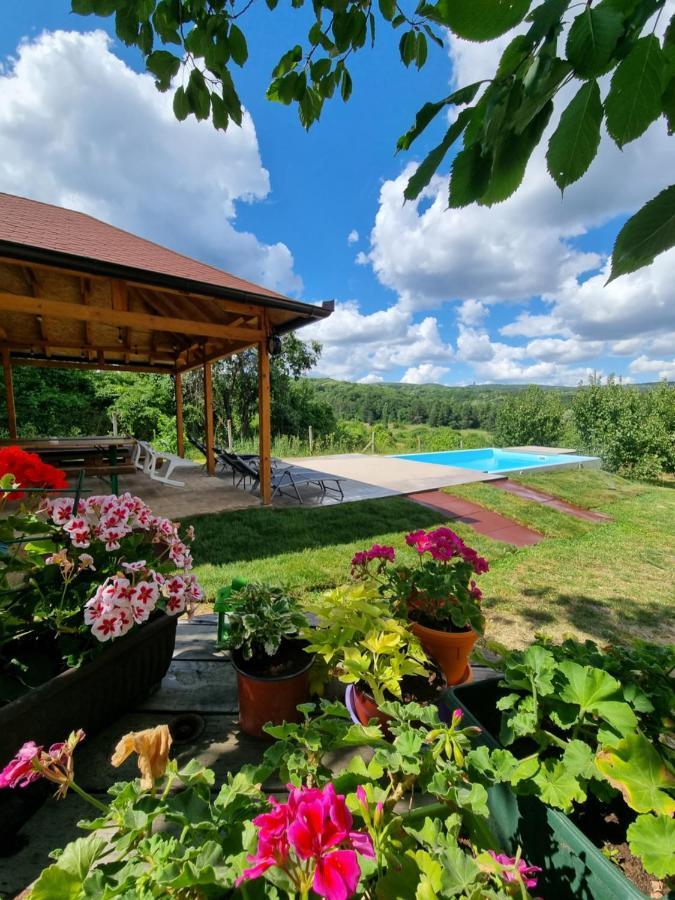 Hoopovo House Fruska Gora Villa Irig Exterior photo